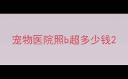 宠物医院照b超多少钱