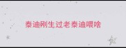泰迪刚生过老泰迪喂啥