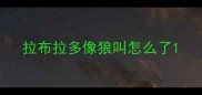 拉布拉多像狼叫怎么了