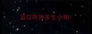 当拉布拉多生小狗