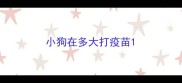 小狗在多大打疫苗