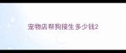 宠物店帮狗接生多少钱