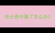 哈士奇中暑了怎么办