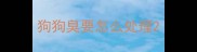 狗狗臭要怎么处理