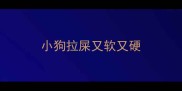 小狗拉屎又软又硬