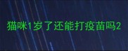 猫咪1岁了还能打疫苗吗