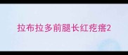 拉布拉多前腿长红疙瘩