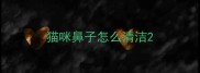 猫咪鼻子怎么清洁
