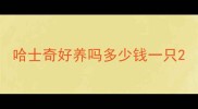 哈士奇好养吗多少钱一只