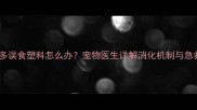 拉布拉多误食塑料怎么办宠物医生详解消化机制与急救措施