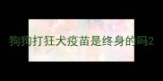 狗狗打狂犬疫苗是终身的吗