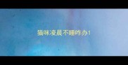 猫咪凌晨不睡咋办