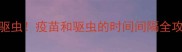 狗打疫苗前必须做好的驱虫疫苗和驱虫的时间间隔全攻略附新手避坑指南