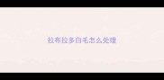 拉布拉多白毛怎么处理