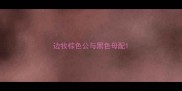 边牧棕色公与黑色母配