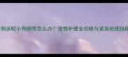 母狗误咬小狗脐带怎么办宠物护理全攻略与紧急处理指南