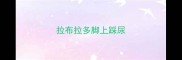 拉布拉多脚上踩尿