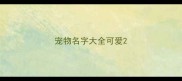 宠物名字大全可爱