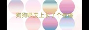 狗狗眼皮上长了个疙瘩