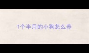 1个半月的小狗怎么养
