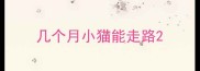 几个月小猫能走路