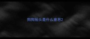 狗狗摇头是什么意思