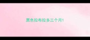 黑色拉布拉多三个月