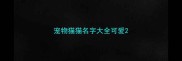 宠物猫猫名字大全可爱