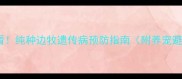 边牧家长必看纯种边牧遗传病预防指南附养宠避坑清单