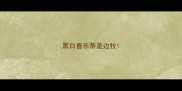 黑白喜乐蒂是边牧