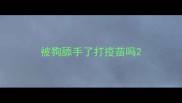 被狗舔手了打疫苗吗