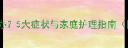 小狗上吐下泻怎么办5大症状与家庭护理指南附紧急处理步骤