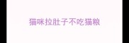 猫咪拉肚子不吃猫粮