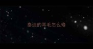 泰迪的耳毛怎么修