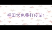福田犬免费打疫苗