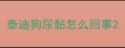 泰迪狗尿黏怎么回事