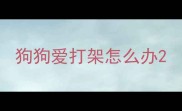 狗狗爱打架怎么办