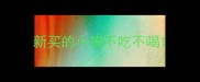 新买的小狗不吃不喝