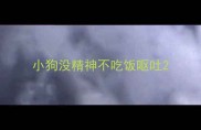 小狗没精神不吃饭呕吐