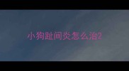 小狗趾间炎怎么治