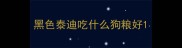 黑色泰迪吃什么狗粮好