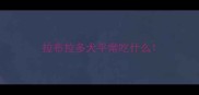 拉布拉多犬平常吃什么
