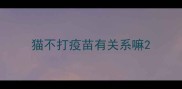 猫不打疫苗有关系嘛