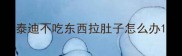 泰迪不吃东西拉肚子怎么办