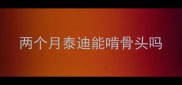 两个月泰迪能啃骨头吗