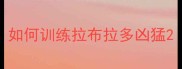 如何训练拉布拉多凶猛