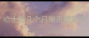 哈士奇几个月能用磨牙棒