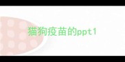 猫狗疫苗的ppt