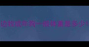 边牧成年狗一般体重是多少