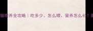 三个月幼猫喂养全攻略吃多少怎么喂营养怎么补新手必看